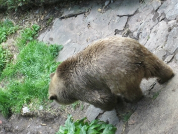 photo 978291