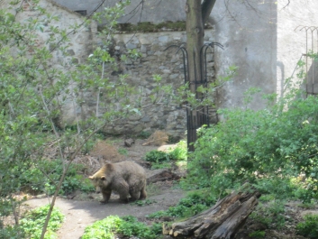 photo 978294