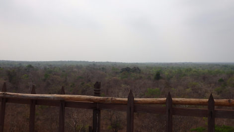 photo 1268845