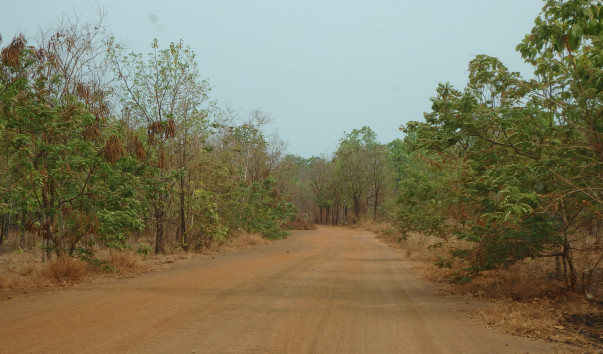 P3150041