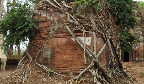 P3150008