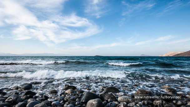 photo 253975