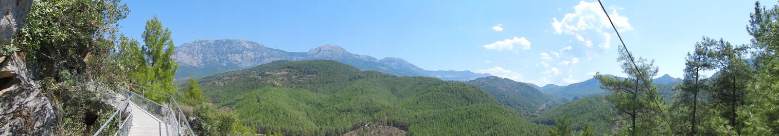 photo 583254