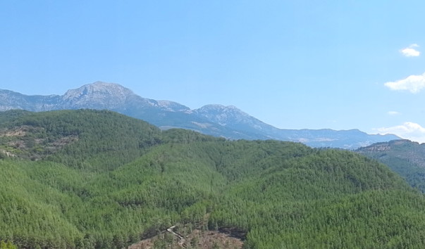 DSCN0939