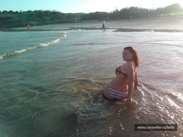 photo 499039