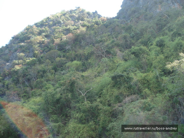 photo 348221