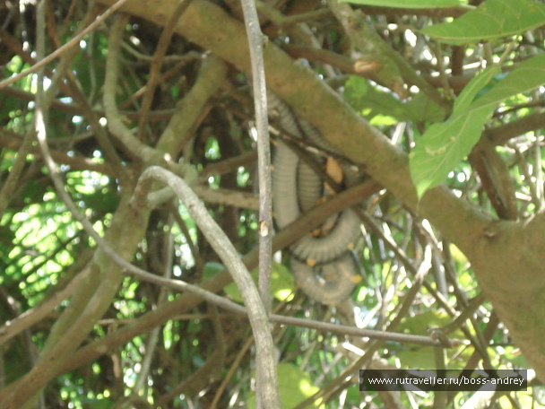 photo 348314