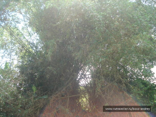 photo 348316