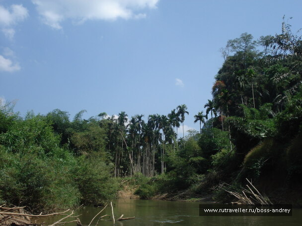 photo 348326