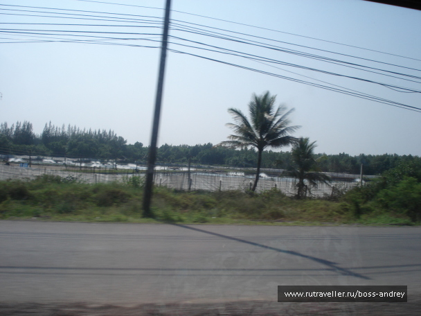 photo 348350