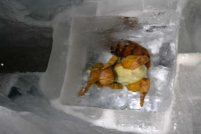 photo 222722