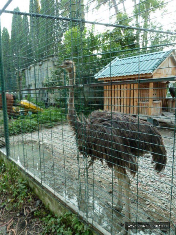 photo 1100761