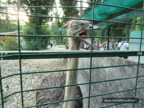 photo 1100764