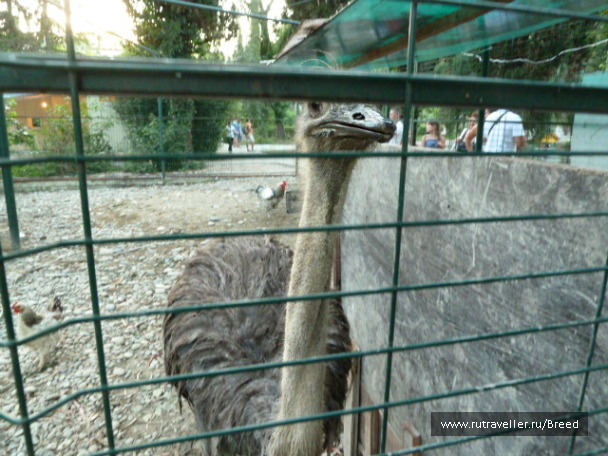 photo 1100765