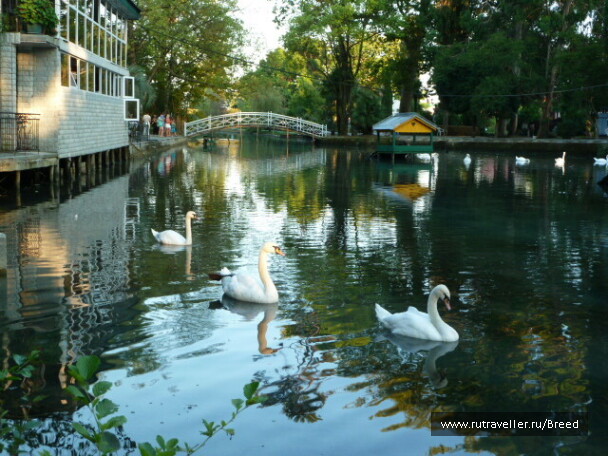 photo 1100767
