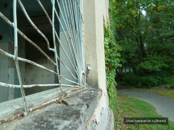 photo 1100768