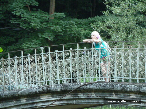 photo 1100771
