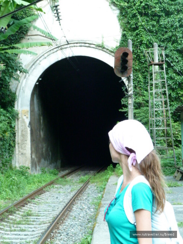 photo 1100774