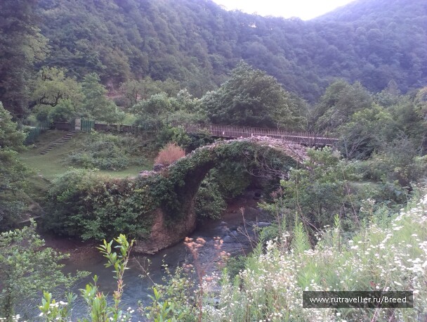 photo 1100870