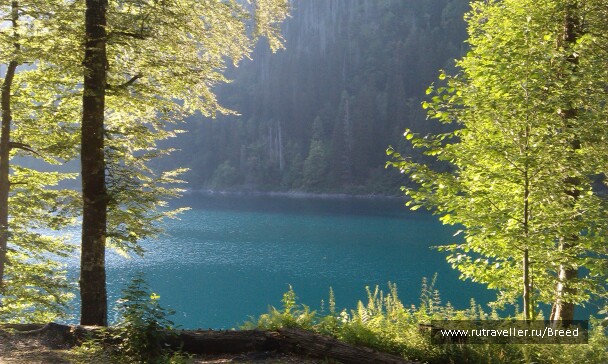 photo 1102908