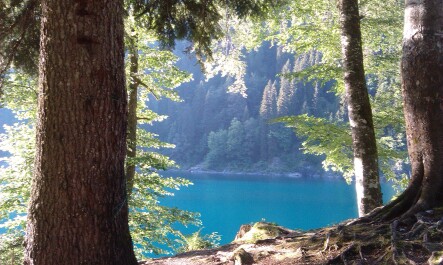 photo 1102909
