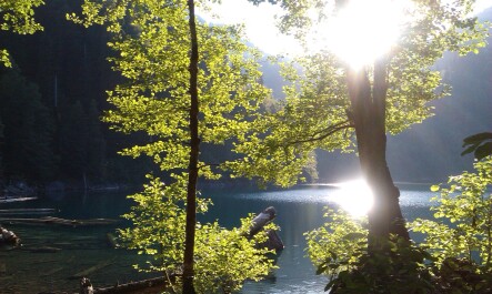 photo 1102910