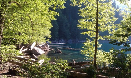 photo 1102911