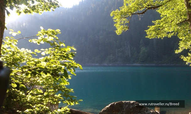 photo 1102913