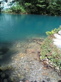 photo 1103413