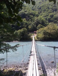 photo 1103421