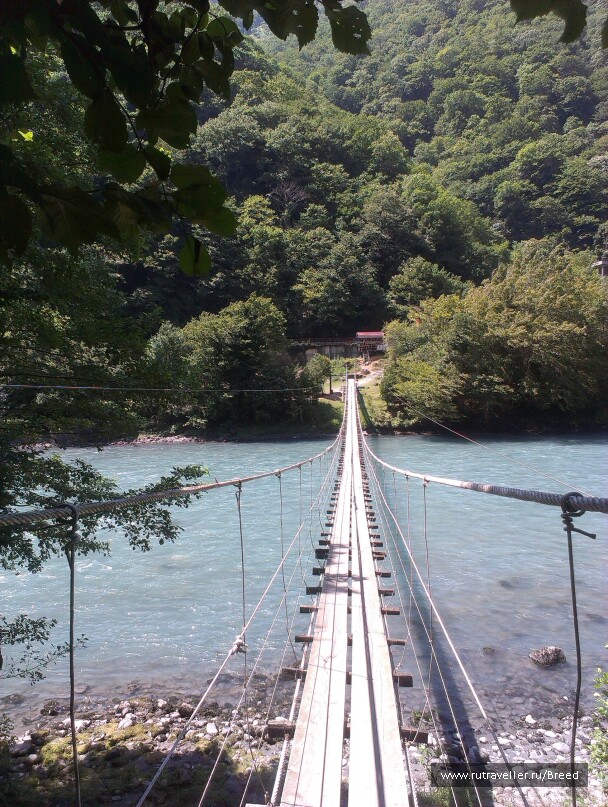 photo 1103421