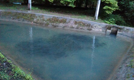 photo 1104340