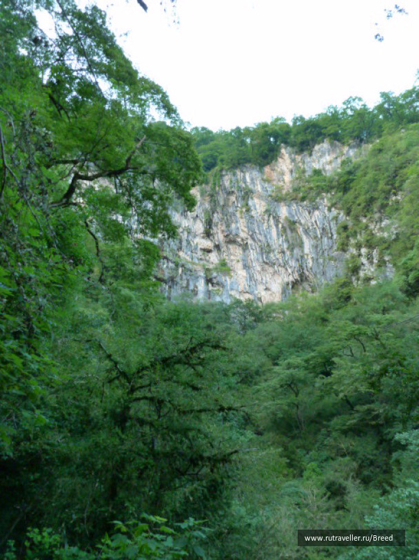 photo 1104341