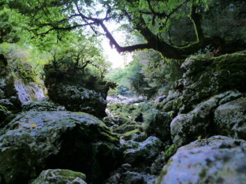 photo 1104342