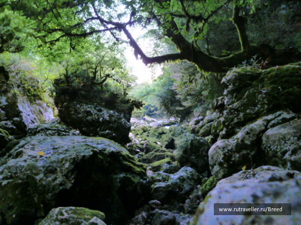 photo 1104342