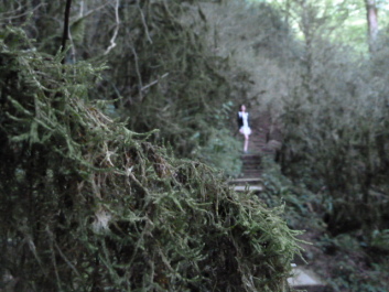 photo 1104343