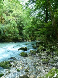 photo 1104344
