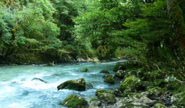 P1000868