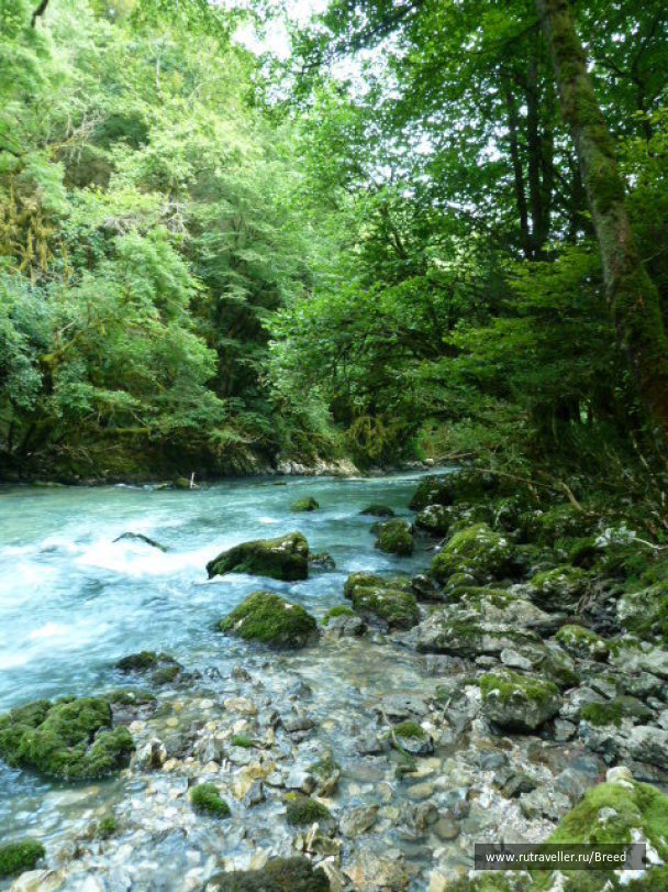 photo 1104344
