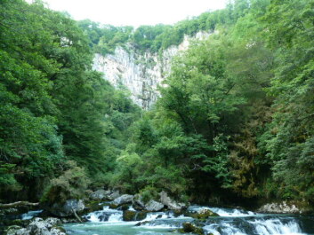 photo 1104345
