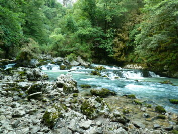 photo 1104346