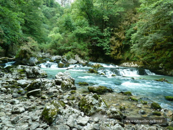 photo 1104346