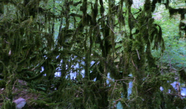 P1000864