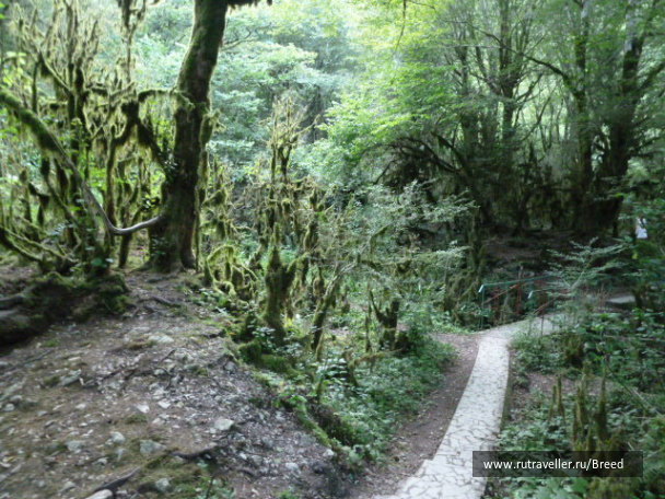 photo 1104349
