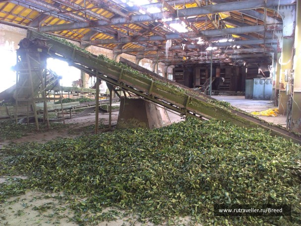 photo 1104381