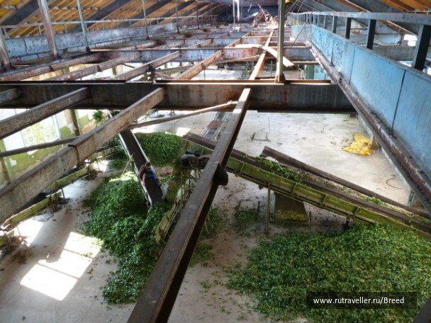 photo 1104383