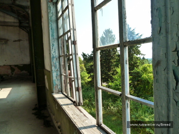 photo 1104384