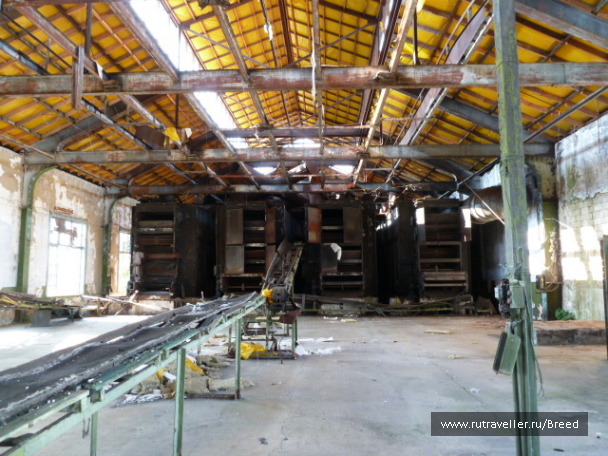 photo 1104388