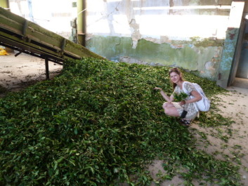 photo 1104390