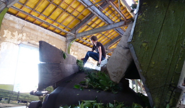 P1000816